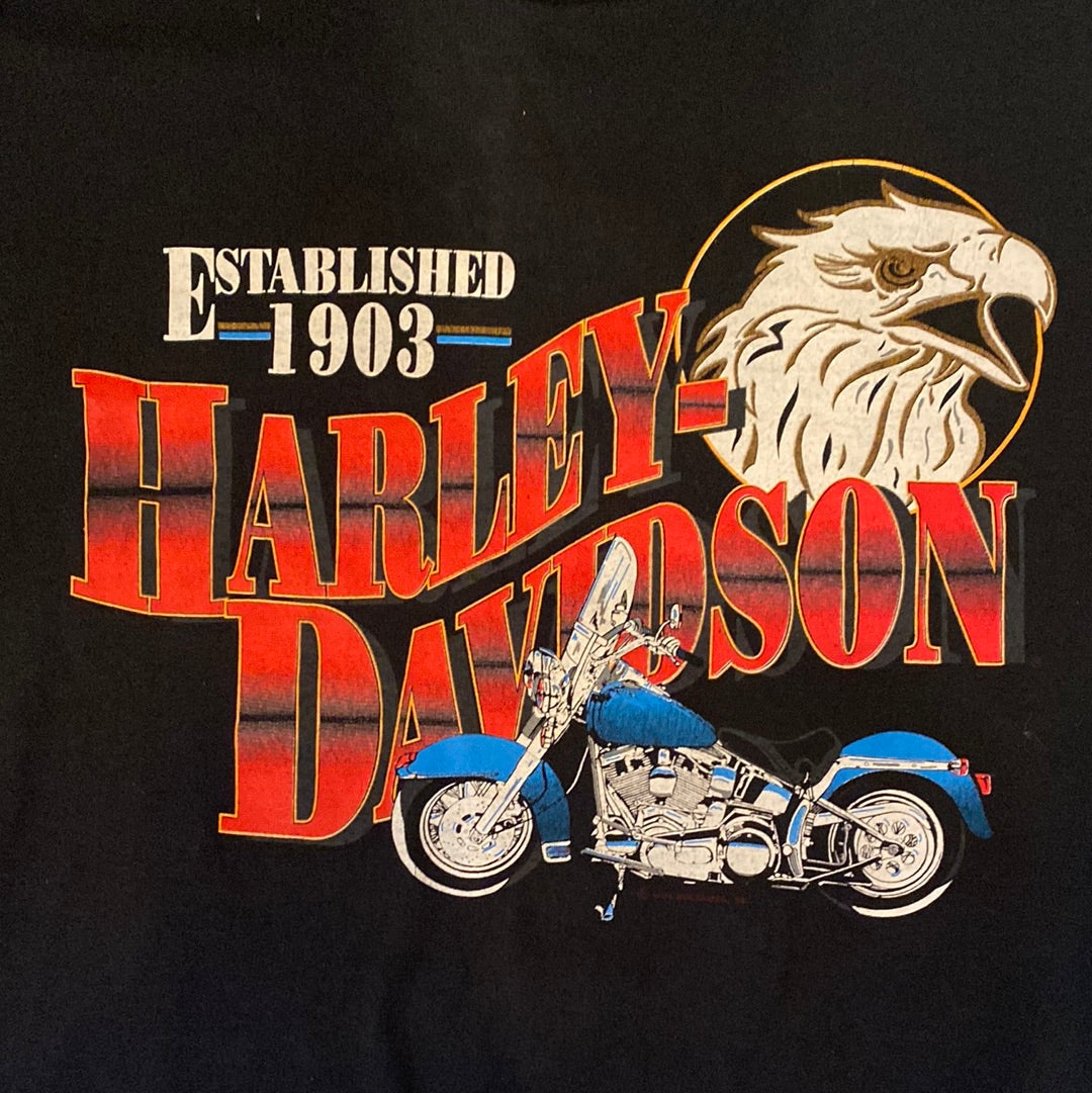 Harley Davidson “Action Choppers” Riverside, Ca Tee